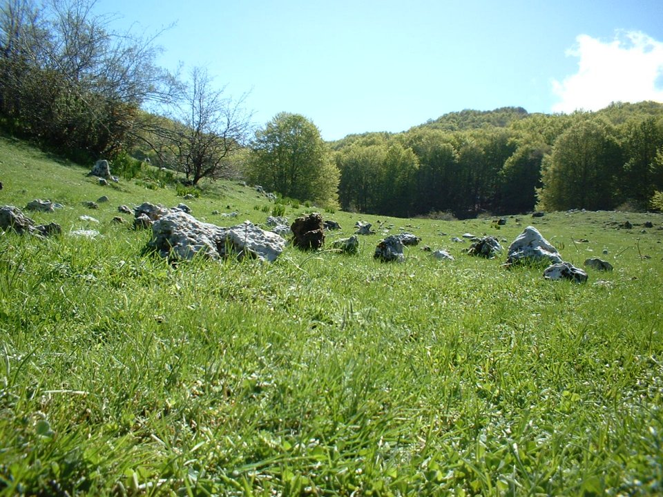 parco dei monti simbruini